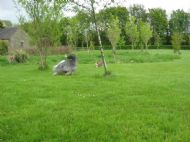 Chloe chasing Freya May 2010